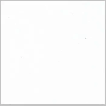 Шарли белый 